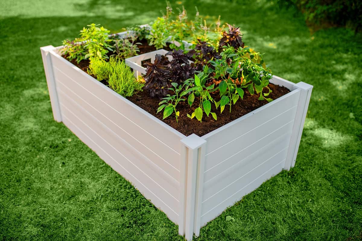 composting garden bed