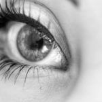 Eyelash Business