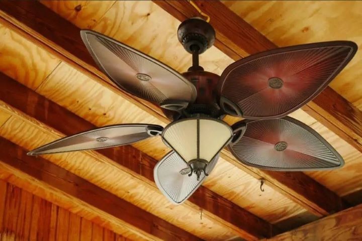 Ceiling fan lights
