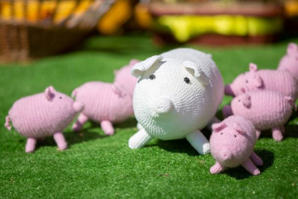 Pig Craft Ideas
