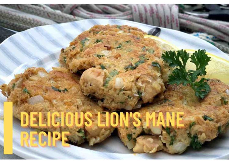 Lion's Mane Recipe