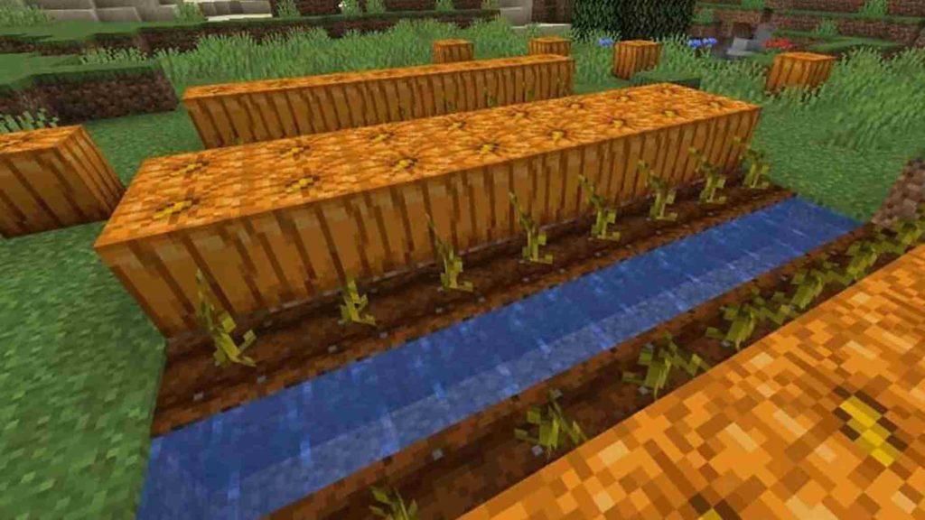 How to Grow Pumpkins in Minecraft: Tips & Tricks