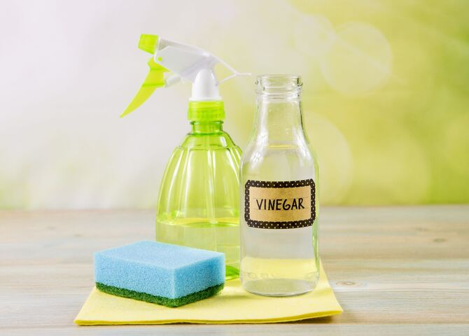 Spray the vinegar solution to get rid of the ant trails