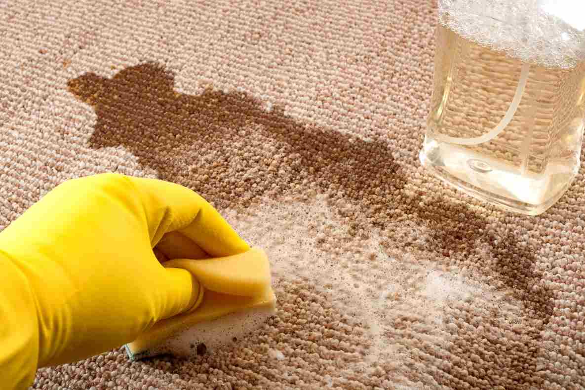 Remove Coffee Stain Out Of Carpet