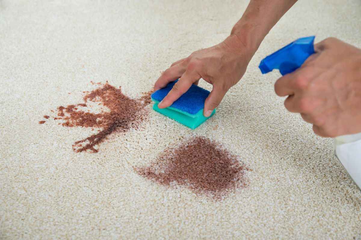 How To Get Chocolate Out Of The Carpet